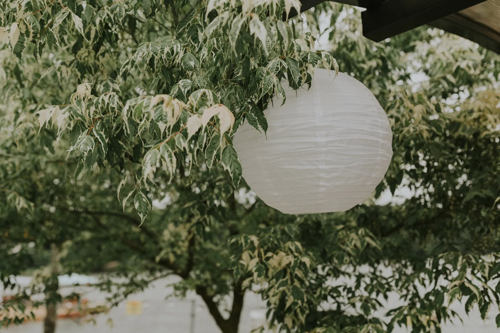 Karolina i Łukasz - Karolina-i-Lukasz-24