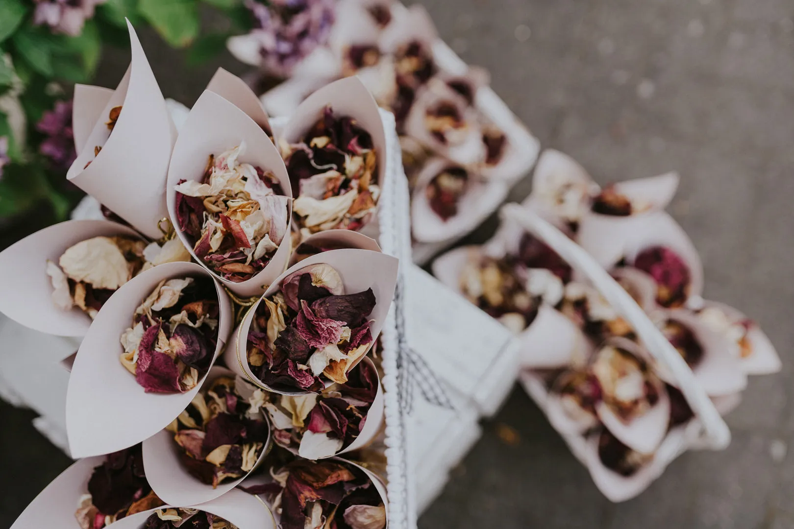 Roksana i Paweł - Roksana-i-Pawel-14